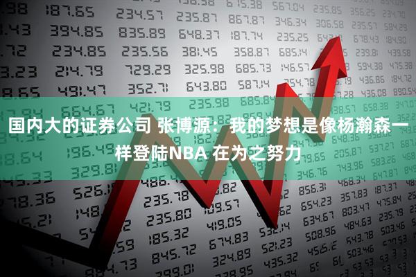 国内大的证券公司 张博源：我的梦想是像杨瀚森一样登陆NBA 在为之努力