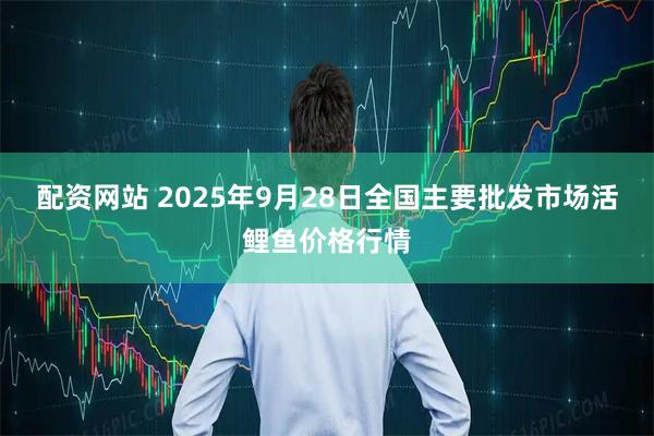 配资网站 2025年9月28日全国主要批发市场活鲤鱼价格行情